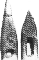Chisels - Acre for Acre Comparison